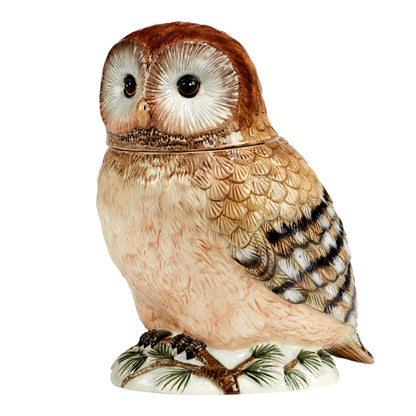 Winter’s Walk 3-D Ceramic Owl Cookie Jar – A majestic hand-painted owl cookie jar that brings rustic woodland charm to your kitchen, perfect for storing treats or decorating for the holidays, 88 oz.