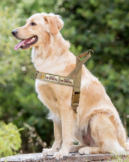 QIFBYFB No Pull Dog Harness for Medium Large Dogs, Reflective Escape Proof Adjustable No Pulling Harnesses Brown L