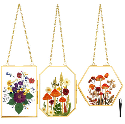 BABUFINE Pressed Flower Frames with Tweezers, Wall Hanging Double Glass Picture Frames with Chain for Dried Flowers Plants Wall Decor,Only Frame (Gold-3PCS)