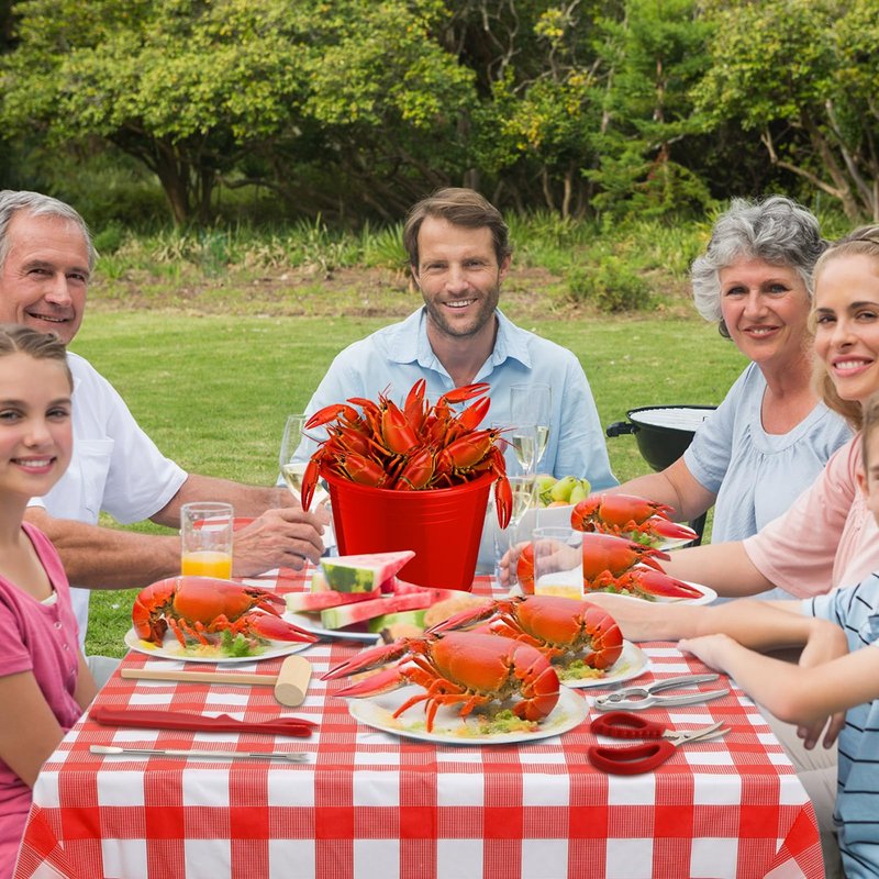 SmoothNovelty 21 Pcs Seafood Tools Set Seafood Boil Party Supplies, Tablecloth Crab Crackers Scissors Lobster Sheller Hammer Shellfish Fork Cracker Plastic Bucket for Lobster Crawfish Food Party