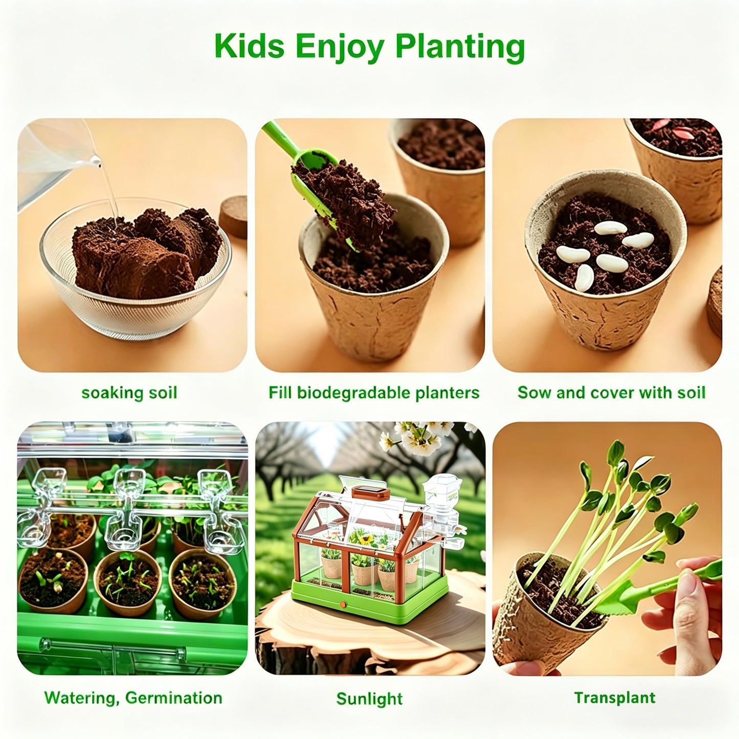 EXBEPE Kids Plant Growing Kit Greenhouse Growing Set Terrarium Kit Kids Science Educational DIY Plant Gardening Toy, Living Greenhouse with Solar Panel, Indoor Gardening Kit