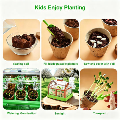 EXBEPE Kids Plant Growing Kit Greenhouse Growing Set Terrarium Kit Kids Science Educational DIY Plant Gardening Toy, Living Greenhouse with Solar Panel, Indoor Gardening Kit