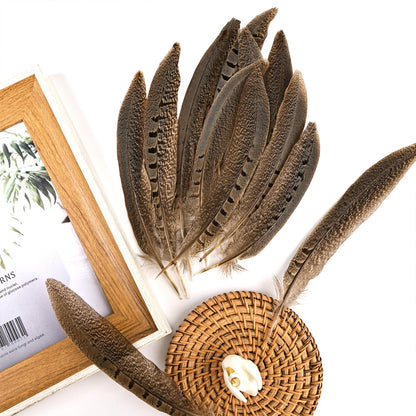 THARAHT 24pcs Male Ringneck Pheasant Tails Feathers Natural Feathers 8-10inch 20-25cm for Crafts Home Wedding Party Performance DIY Decoration Male Pheasant Feathers