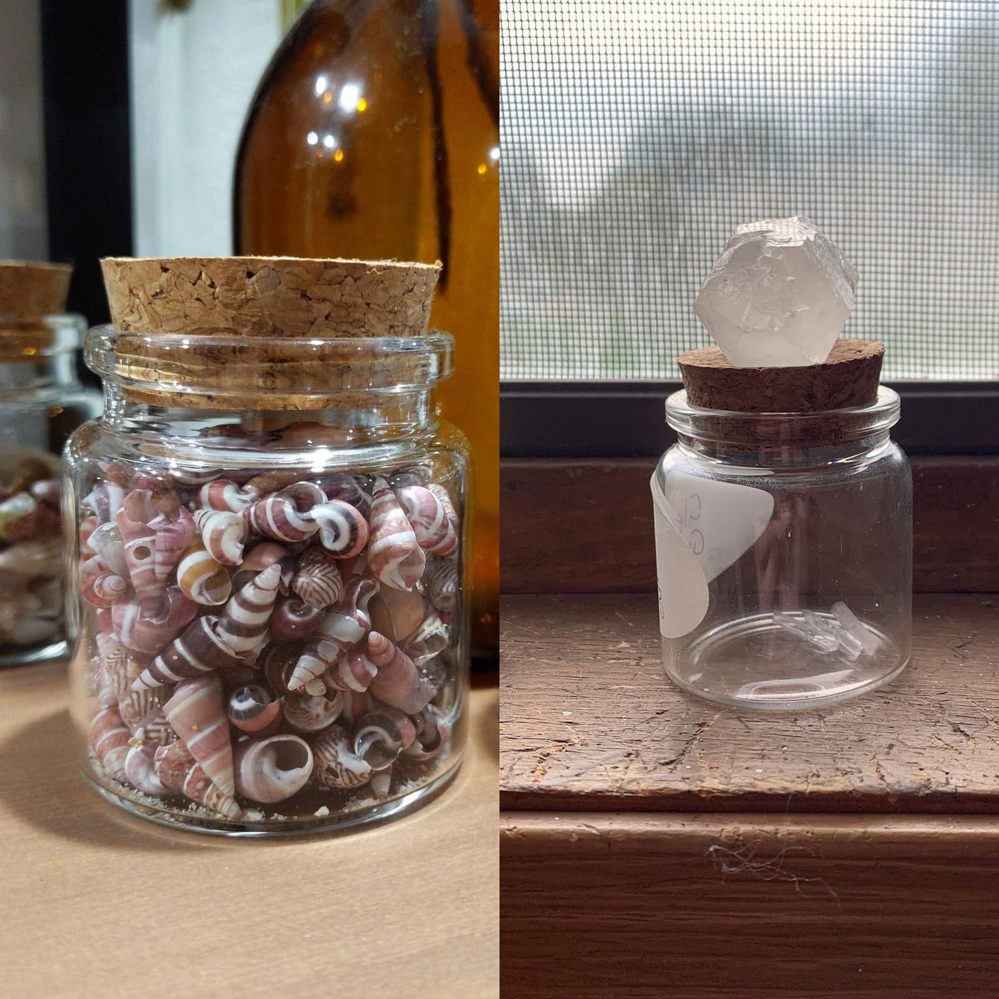 50ml / 1.69 oz. 10pcs Mini Glass Bottles with Cork, Small Glass Jars, Potion Bottles, Glass Vials, Message in a Bottle, Spell Jars with Cork Lids for Display Party Favors DIY Decoration Wedding Gift