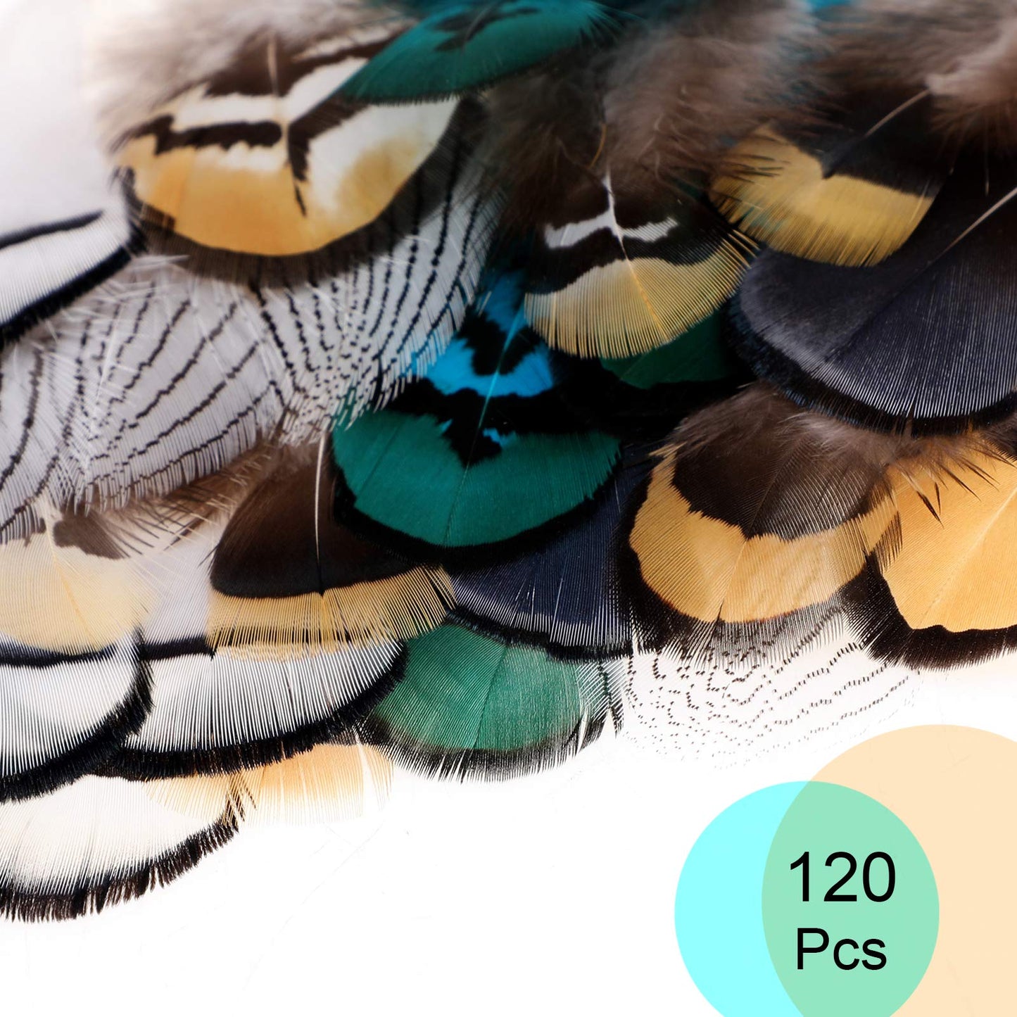 MWOOT 6 Styles Assorted Crafts Feathers, 120Pcs DIY Dreamcatcher Crafts Art Decor Feathers, DIY Earring Wings Carnival Party Mask Activities Project Accessories Small Feather - Mixed Green White Brown