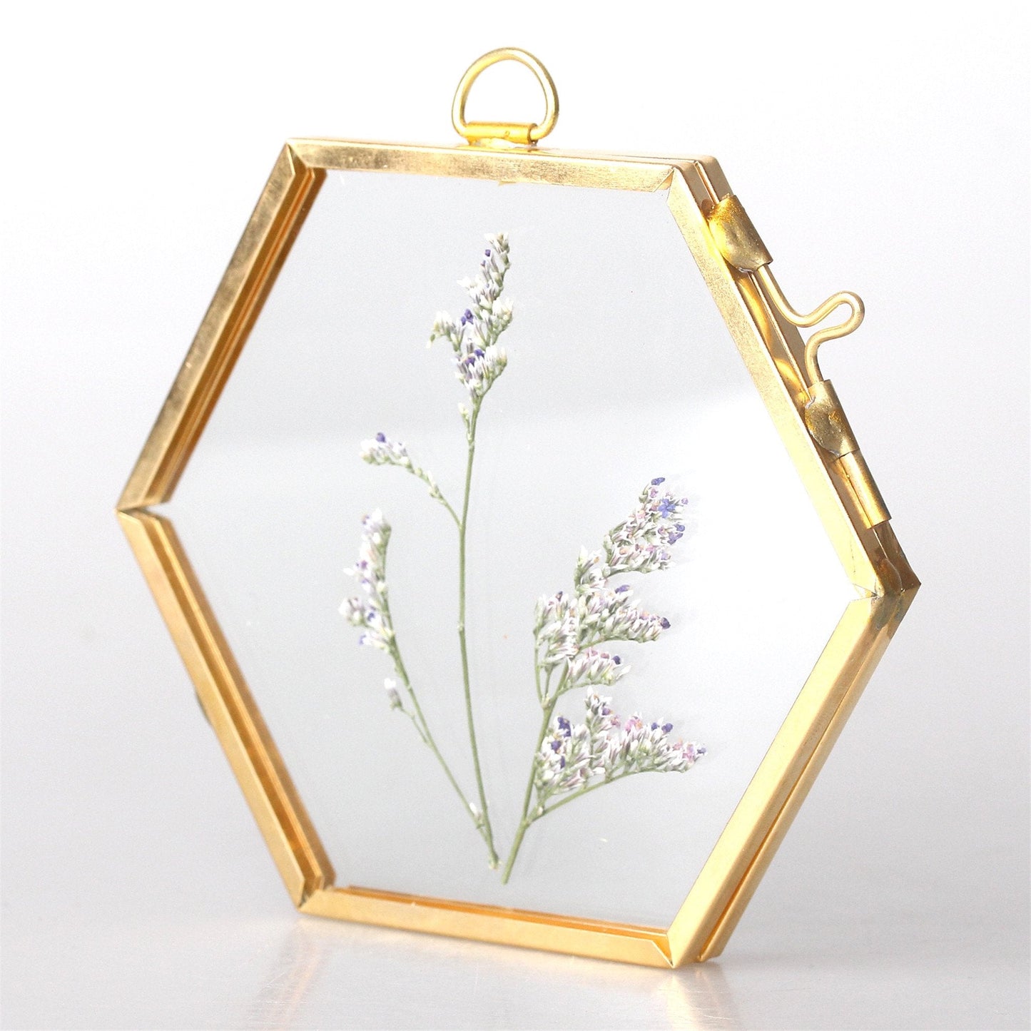 NCYP Mini Glass Floating Frame for Dried Flowers Plants, Photo - Side length 1.9 Inches - Wall Hanging Vertical Decor, Small Double Specimen Clip, Gold Hexagon (Glass Frame Only)