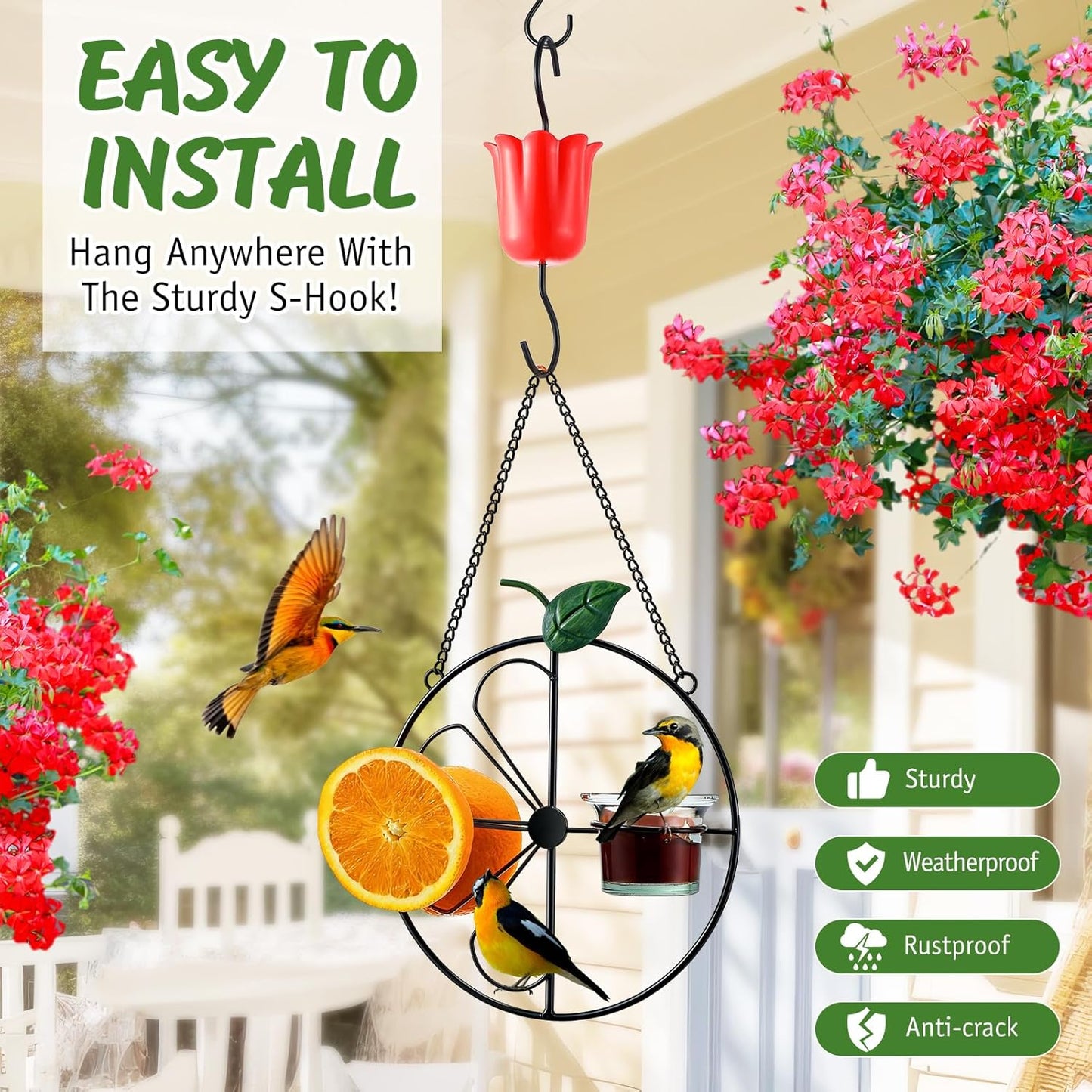 Dunkive Halves(Black,1 Pack) Baltimore Oriole Bird Feeder for Outdoors Oriole Feeder with Ant Moat & Glass Bowl & Ant