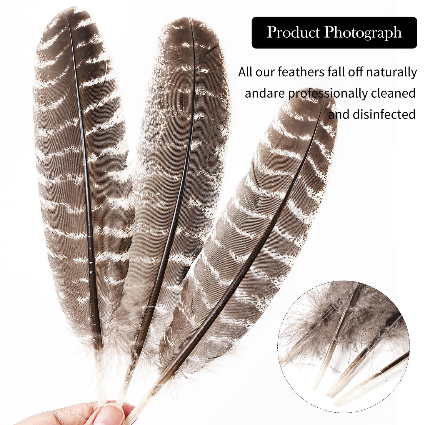 Daieeparty 12pcs Natural Color Wild Turkey Wing Feathers 12-14inch for DIY Crafts Home