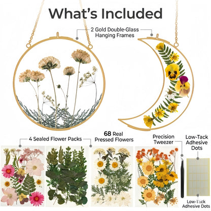 Pressed Flower Frame Kit, Sun and Moon Double Glass Hanging Frames with 68 Dried Flowers, Gold Botanical Wall Decor DIY Craft Kit for Adults, Flower Lover Gift for Mother’s Day & Birthday