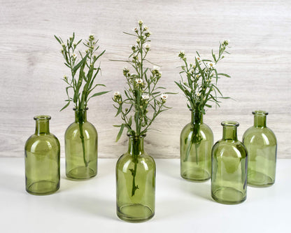 Serene Spaces Living Bud Vases, Apothecary Jars, Decorative Glass Bottles, Centerpiece for Wedding Reception, Mini Flower Vases, Small Medicine Bottles for Home Decor (Dark Green, Set of 6)