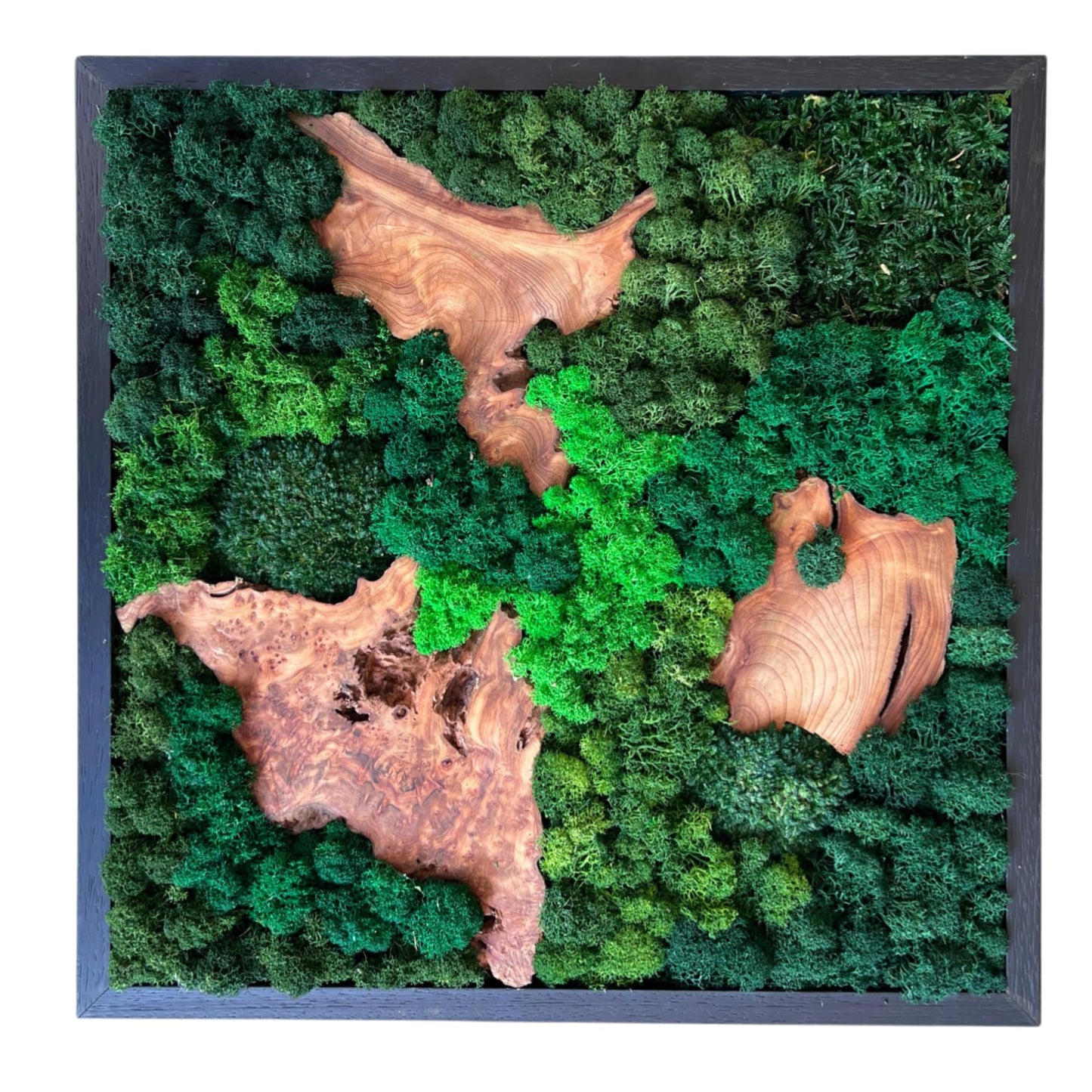 Serenzy 12" Square Cedar & Preserved Moss Wall Art | Unique No-Maintenance Decor for Home, Office, Restaurant, Natural Scattered Wood