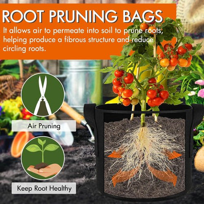 Gardzen 1 Gallon Grow Bags - 10-Pack Heavy Duty 300G Thickened Fabric with Handles for Aeration