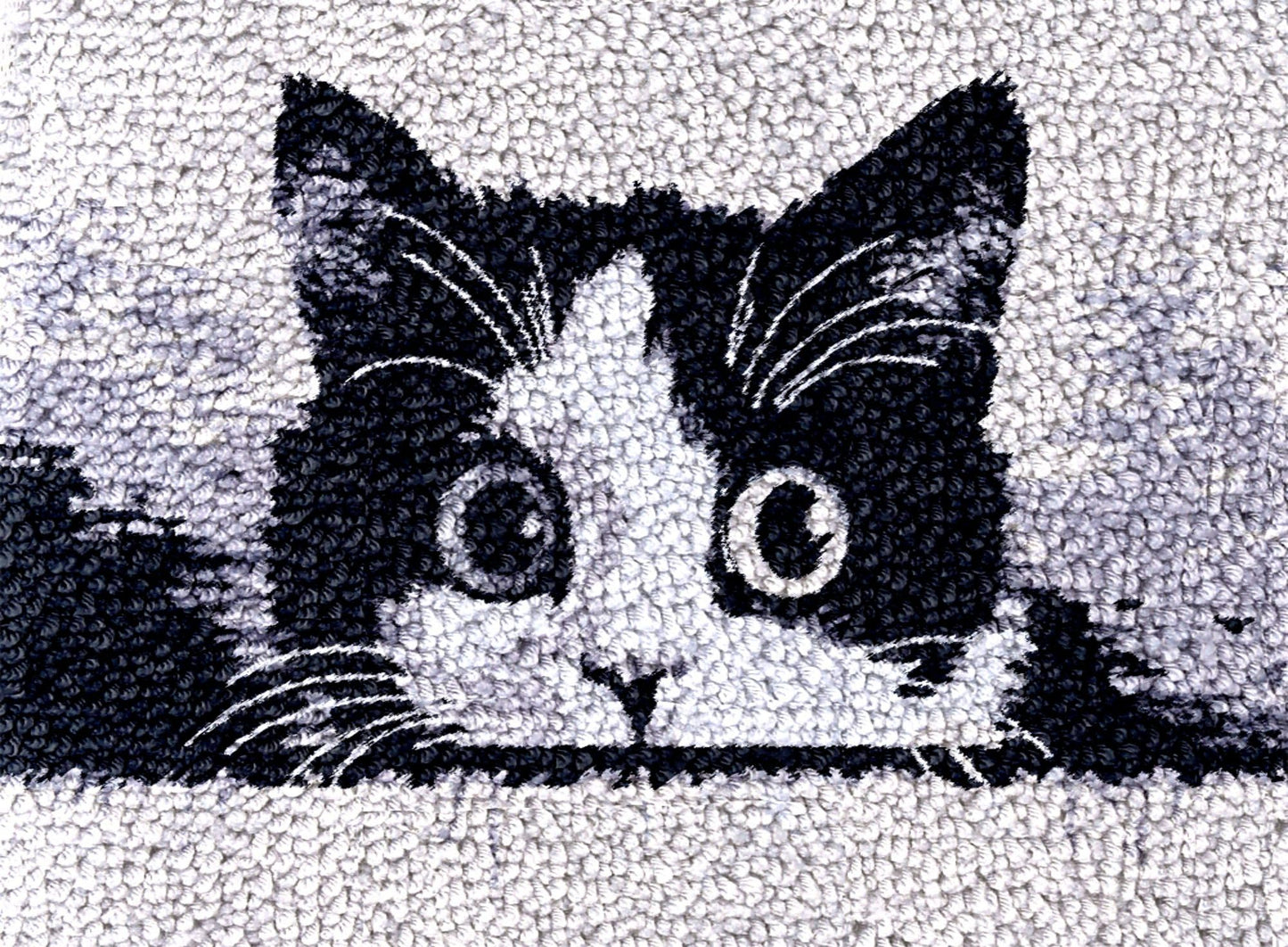 Black and White Cat Cute Latch Hook Rug Kit for Adults DIY Carpet Cushion with Printed Canvas Crochet Yarn Craft Hook and Latch Tapestry for Home Decor Pets Warm Pads 52x38cm(2)