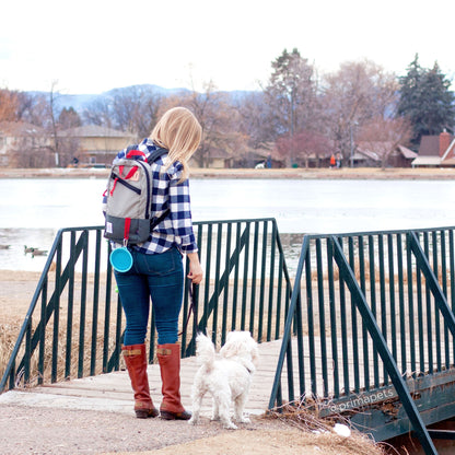 Sale Collapsible Silicone Water Travel Bowl with Clip for Dog and Cat, Portable and Durable Pop-up Feeder for Convenient On-The-go Feeding Size: Large (5 Cups) Grey