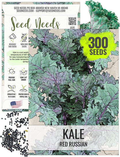 (1 Pack) Seed Needs Kale Seeds for Planting Red Russian Kale Vegetables - Non-GMO Heirloom & Untreated Vegetable Seed