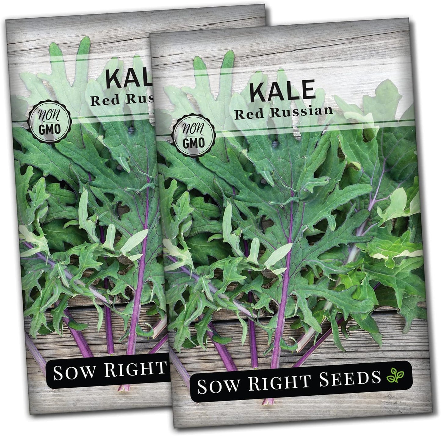 Packet (2) Sow Right Seeds - Red Russian Kale Seeds for Planting - Non-GMO Heirloom with Instructions to Plant a Home