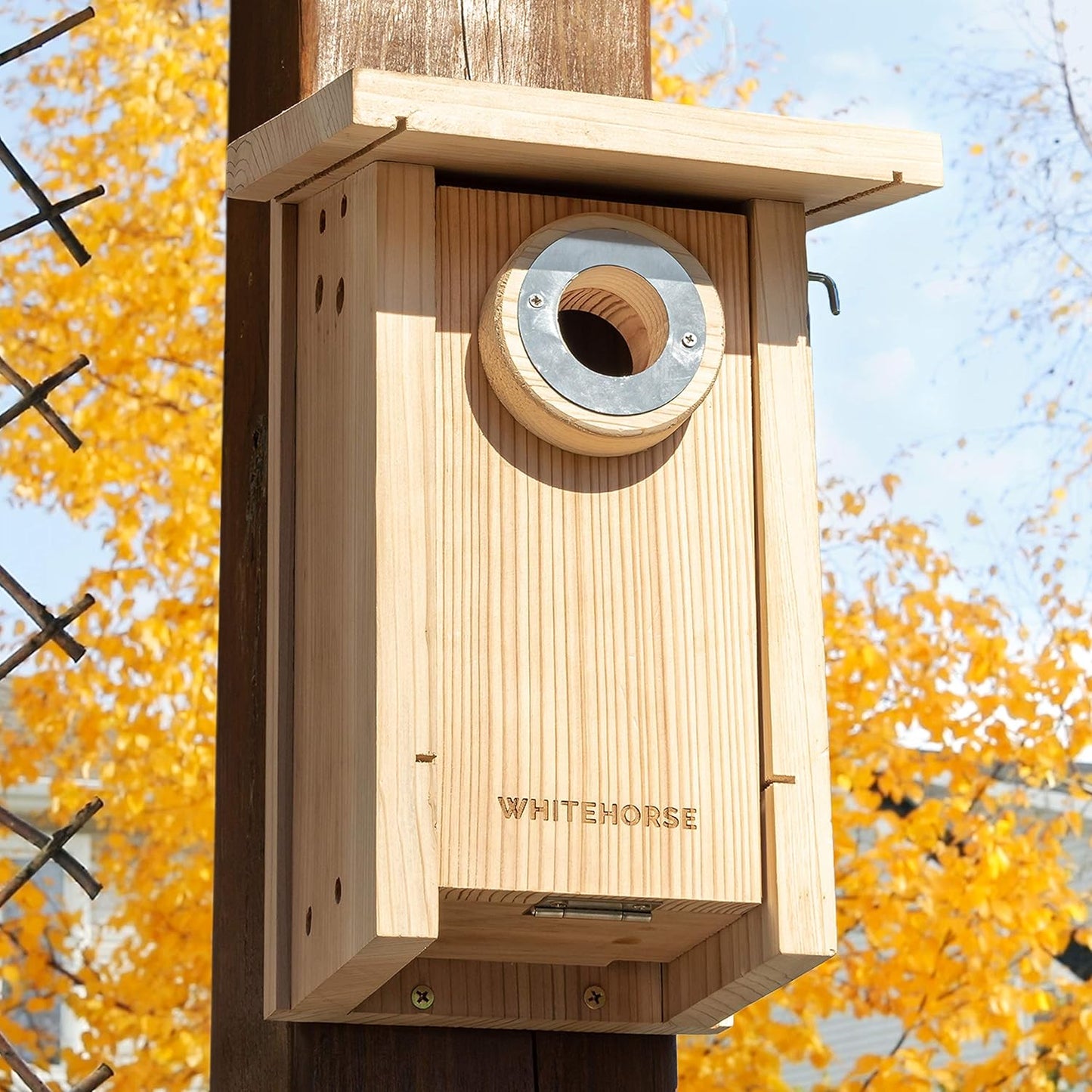 WHITEHORSE Bird House Predator Guards - Set of 5 Stainless Steel Rings with 5 Different Hole Sizes