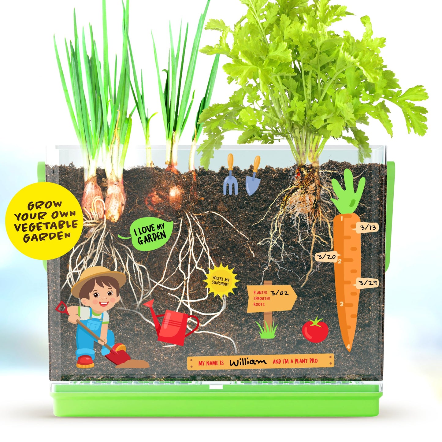 Dan&Darci Root Viewer Kit for Kids - Grow Your Own Plant for Boys & Girls Gifts - Science STEM Toy & Craft Growing Kits for Ages 4-8 Birthday Gifts for Boy, Girl 4, 5, 6, 7, 8, Year Old - Gardening
