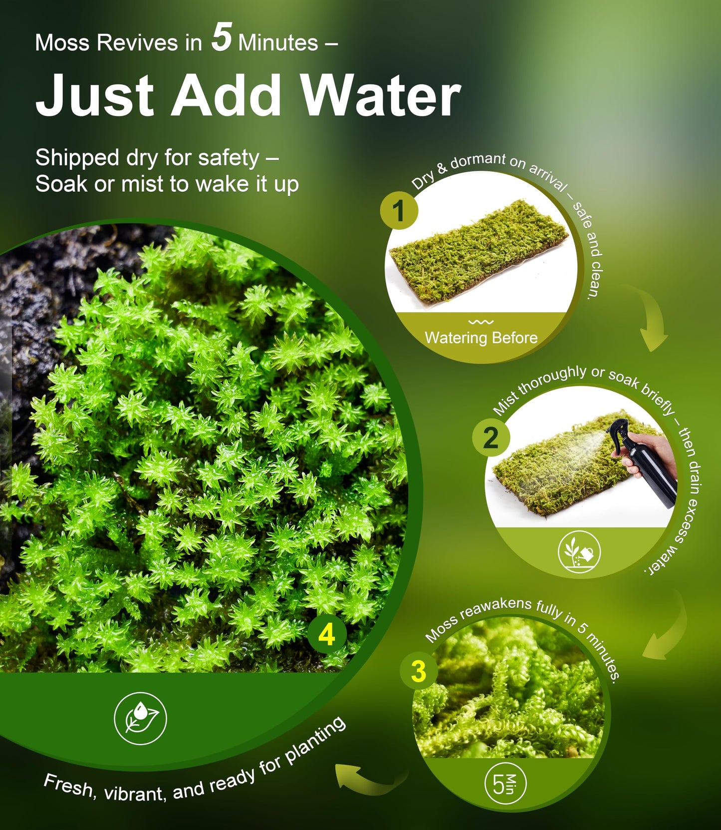 Live Moss Variety Pack for Reptiles– 3-Pack Mixed Real Terrarium Mosses (Each 3.5" x 7") – Live Sheet/Sphagnum Moss for Snake Gecko Turtle Frog Habitats, DIY Plant Décor – Fresh Reptiles Substrate