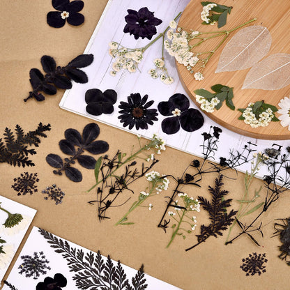 DALARAN Black Dried Pressed Flowers for Resin Molds, Bulk Real Natural Dry Floral for DIY Art Crafts, Epoxy Jewelry, Candle, Nails Decor, Phone Case,Soap Making