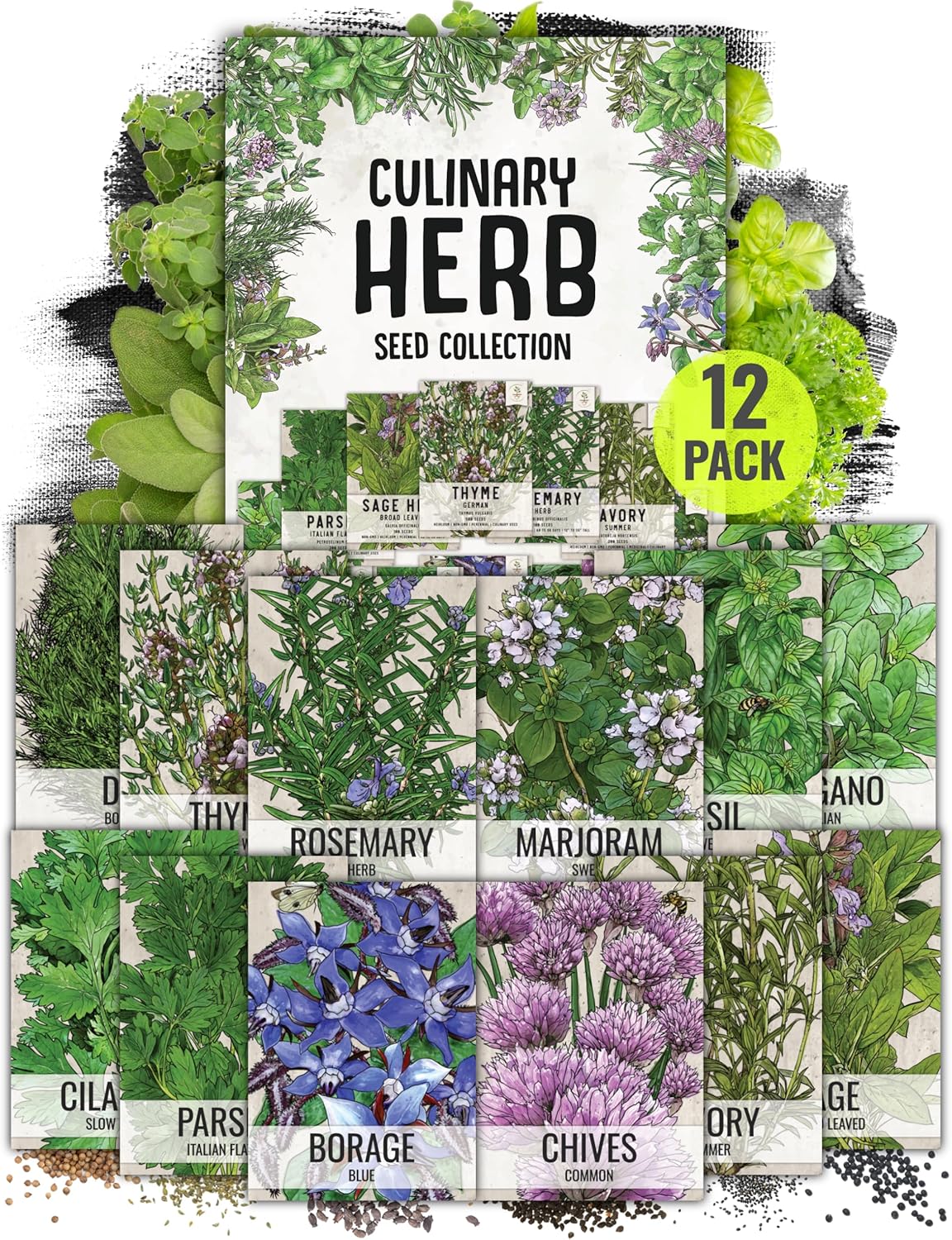 Pack (12 Packets Seed Needs Herb Seeds Variety Culinary Herb Collection Individual for Planting Indoors or Outdoors)