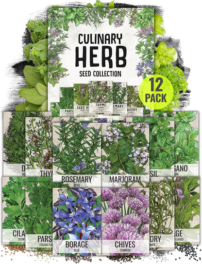 Pack (12 Packets Seed Needs Herb Seeds Variety Culinary Herb Collection Individual for Planting Indoors or Outdoors)