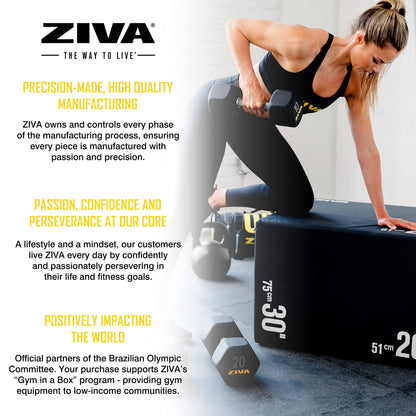 ZIVA 150 lb Hexagon Dumbbell Set with Rack - 5lb-25lb PPU Coated Dumbbell Pairs, Scratch-Proof Handles, UV & Corrosion-Resistant, Steel Weight Rack, Space-Saving Design for Home Gym