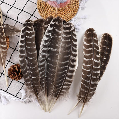 Daieeparty 12pcs Natural Color Wild Turkey Wing Feathers 12-14inch for DIY Crafts Home