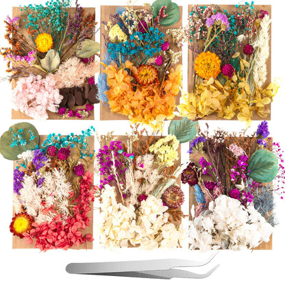 Nuanchu 200 Pcs Natural Dried Pressed Flowers and Leaves Resin Real Dried Flower Leaves Mixed with Tweezers for DIY Jewelry Candle Soap Vase Making Nail Card Scrapbook Art Craft Floral Decors