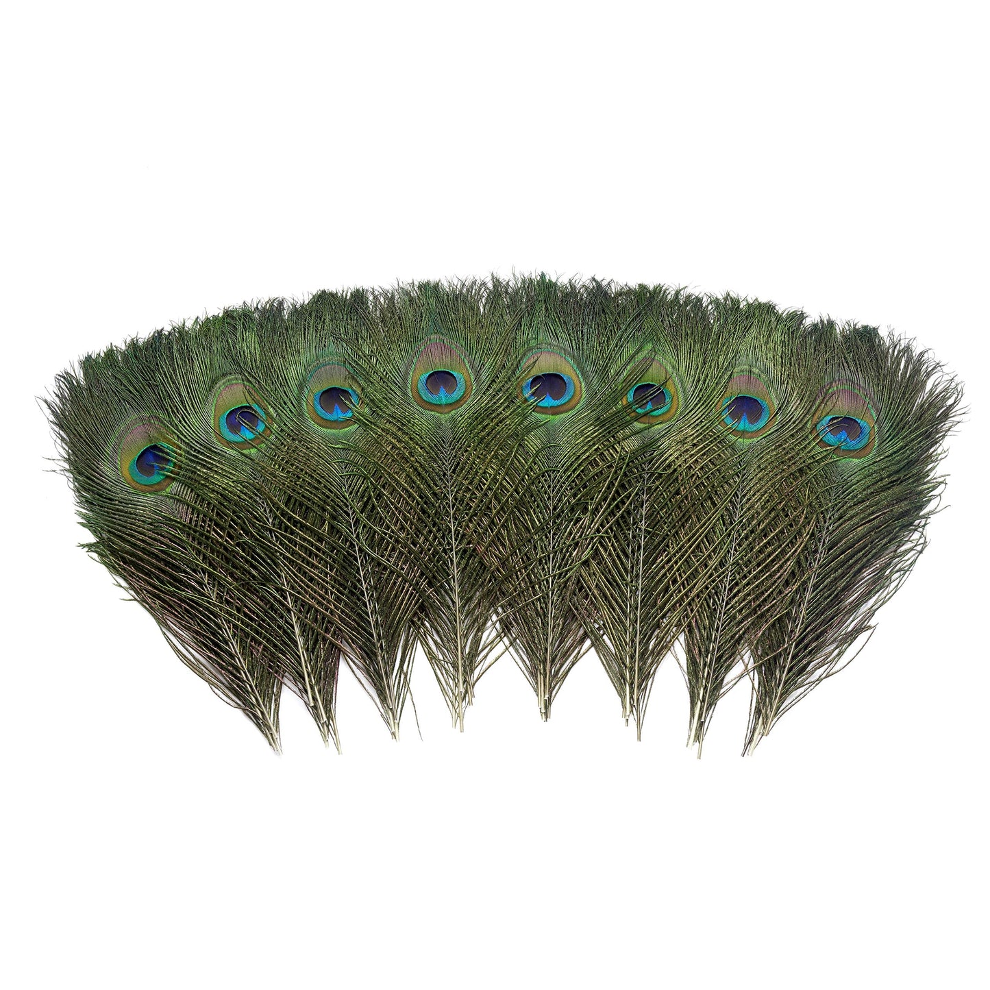 60 PCS Real Natural Peacock Eye Feathers 10-12 inch for DIY Craft, Wedding and Holiday Decorations