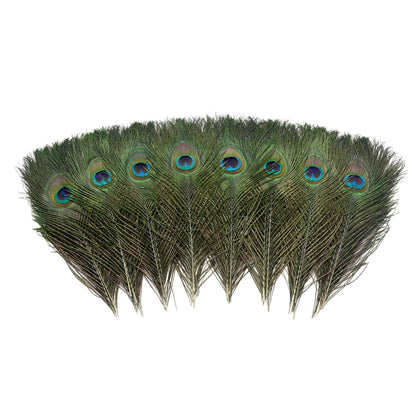 60 PCS Real Natural Peacock Eye Feathers 10-12 inch for DIY Craft, Wedding and Holiday Decorations