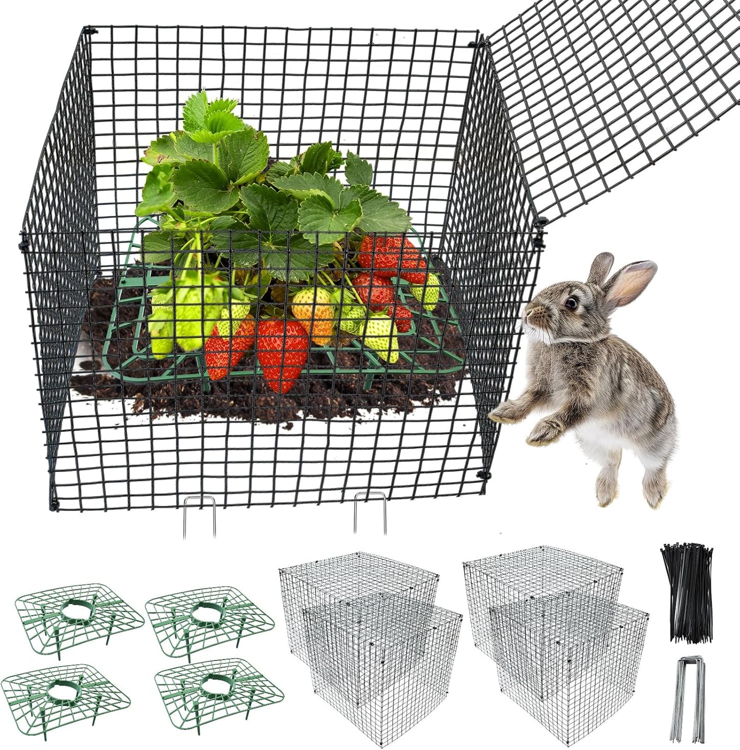 4 Sets 12x12Inch Upgraded Strawberry Supports with Wire Plant Protectors from Animal Sturdy Metal Wire Plant Cages Mesh
