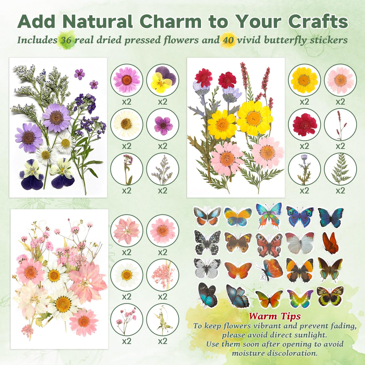 DIY Bookmark Making Kit – 30 Sets with Blank Watercolor Bookmarks, Pressed Flowers, Butterfly Stickers, Tassels, Sleeves & Tweezer – Fun Craft Kit for Painting, Unique Gifts, Book Lovers