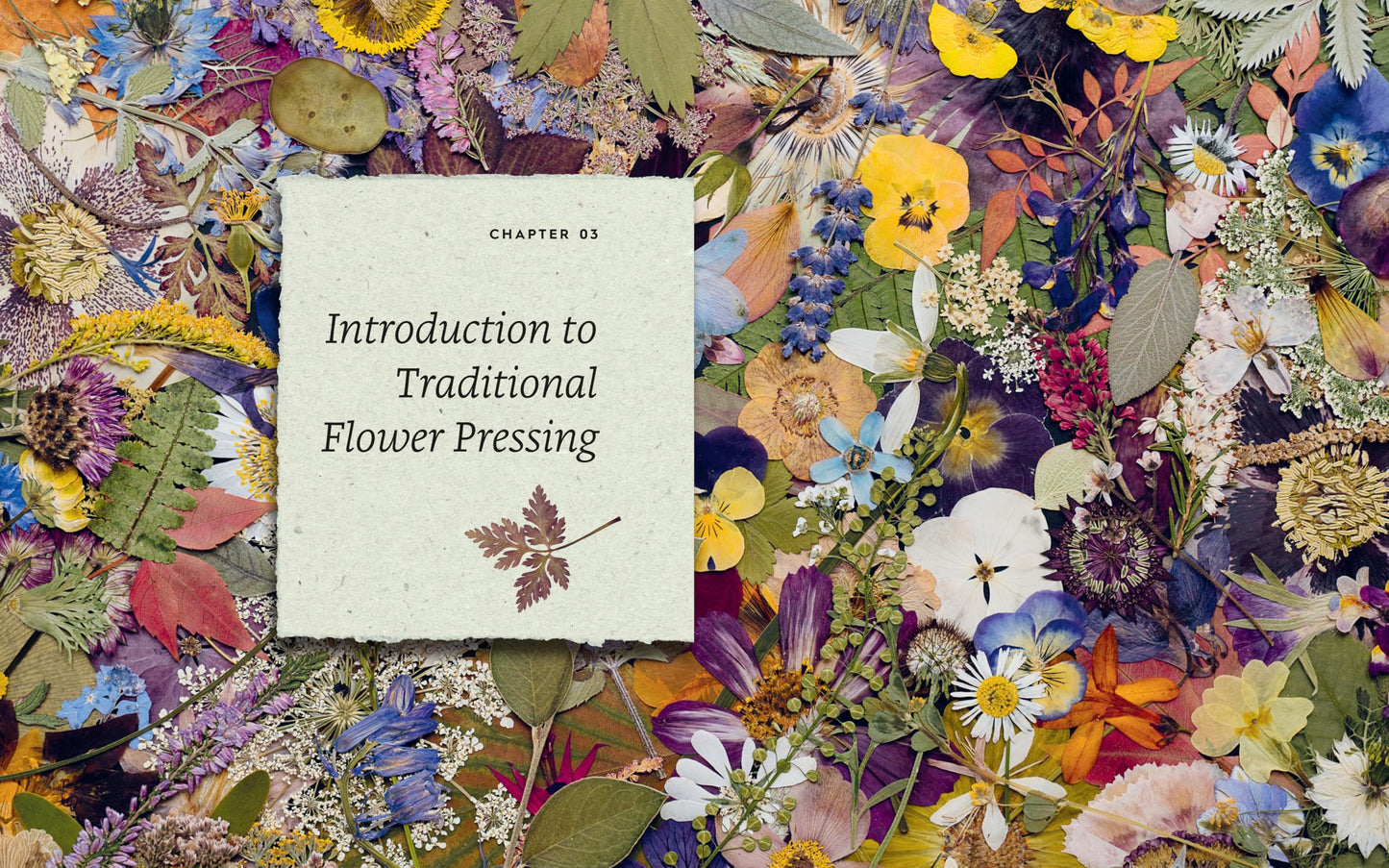 The Pressed Flower Handbook: Simple Methods for Connecting with Nature and Preserving the Beauty of the Garden through the Seasons - Grow, Gather, Press, Create