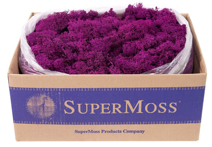 Super Moss (23169) Reindeer Moss Preserved, Fuchsia, 3lbs