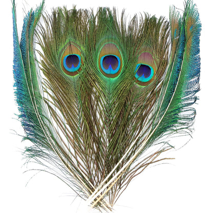 iHUFeather 20PCS Real Natural Peacock Feathers Peacock Swords 10-12 inch,for DIY Craft,Floral Arrangements,Wedding,Home and Party Decorations Feathers,Natural