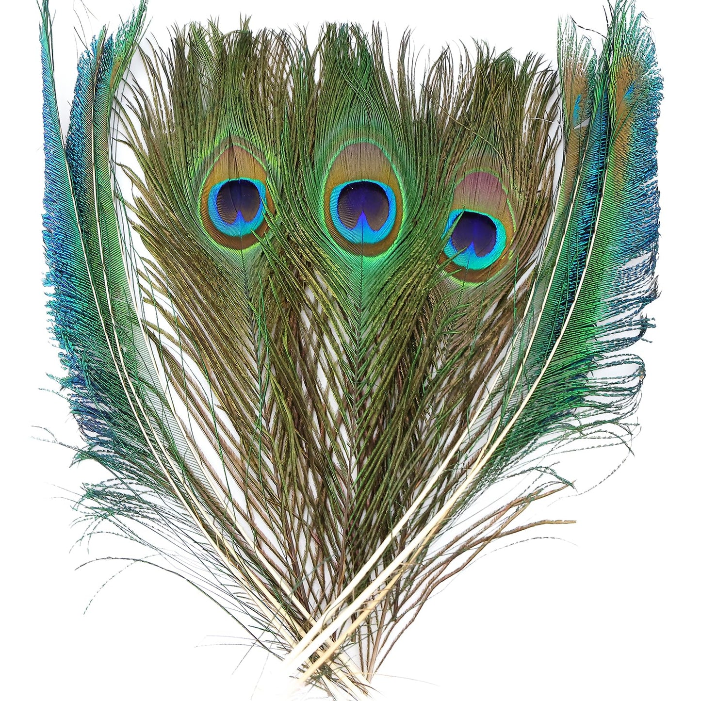 iHUFeather 20PCS Real Natural Peacock Feathers Peacock Swords 10-12 inch,for DIY Craft,Floral Arrangements,Wedding,Home and Party Decorations Feathers,Natural