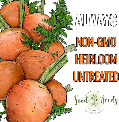 (5 Packs) Seed Needs Carrot Seeds for Planting Paris Market Carrots - Non-GMO Heirloom & Untreated Annual Cool Weather