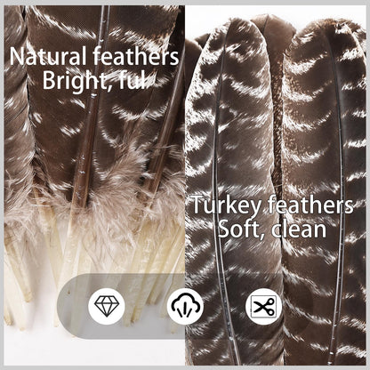 Daieeparty 12pcs Natural Color Wild Turkey Wing Feathers 12-14inch for DIY Crafts Home