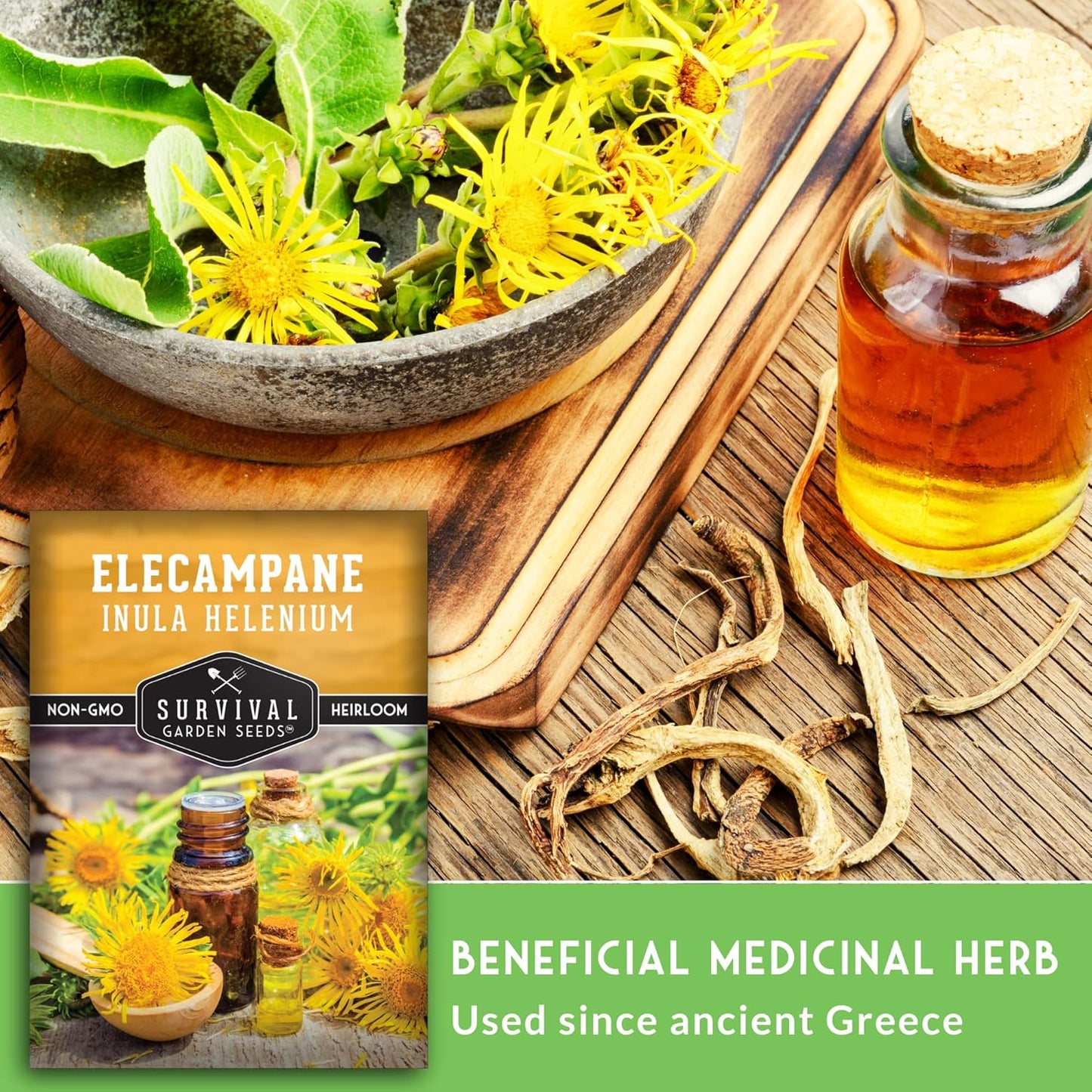 (1 Pack) Elecampane Seeds for Planting - Traditional Medicinal Herb (Inula helenium) with Tall Yellow Blooms
