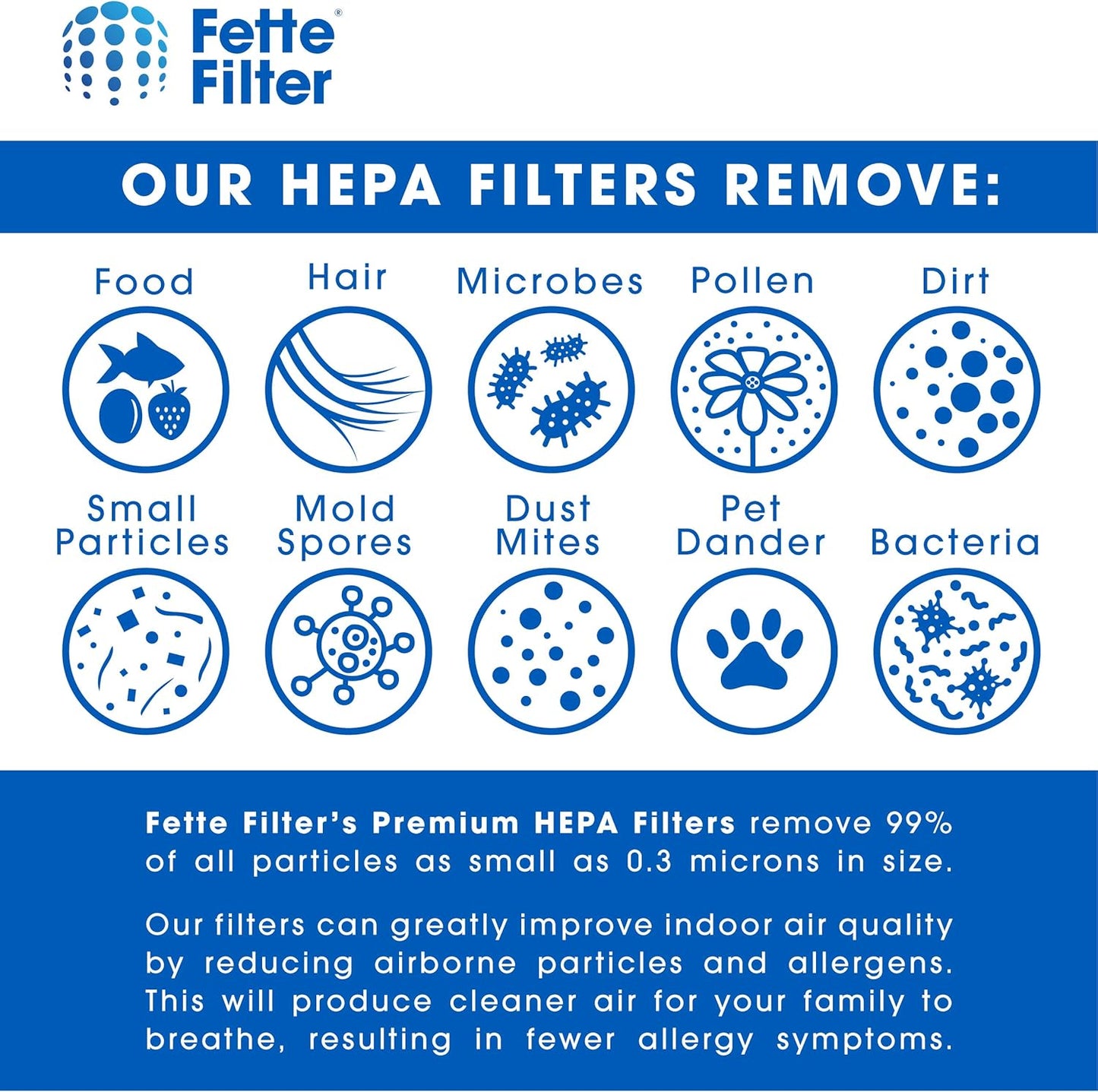 Fette Filter - Vacuum HEPA Filter Compatible with Dirt Devil F1, Pack of 6