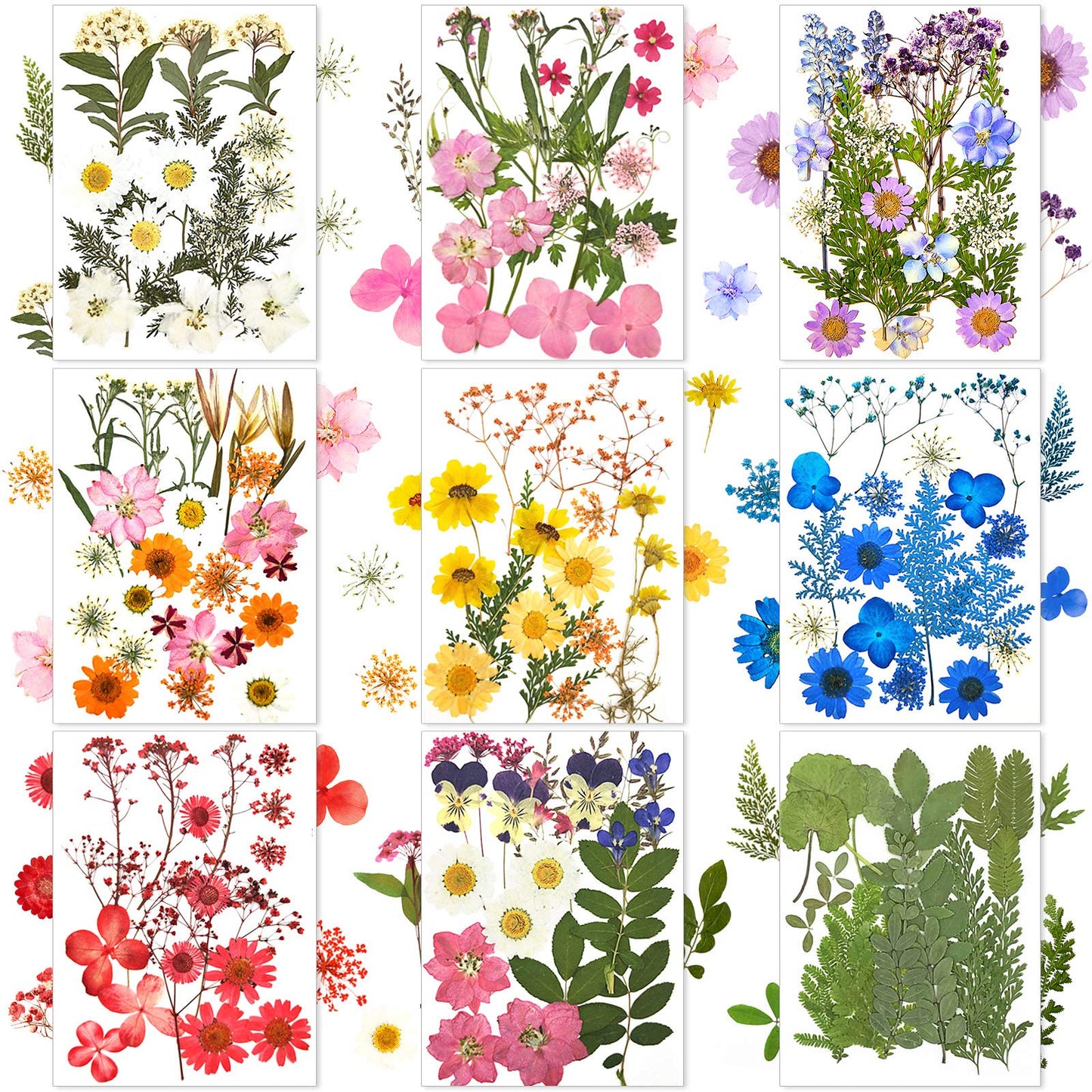 Nuanchu 167 Pcs Real Dried Pressed Flowers Natural Dried Flowers Colorful Daisy Mixed Wildflowers Leave for DIY Candle Resin Nails Jewelry Pendant Crafts Floral Art(Multicolor,Lovely Style)