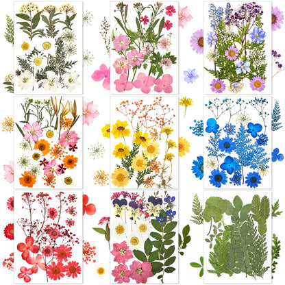 Nuanchu 167 Pcs Real Dried Pressed Flowers Natural Dried Flowers Colorful Daisy Mixed Wildflowers Leave for DIY Candle Resin Nails Jewelry Pendant Crafts Floral Art(Multicolor,Lovely Style)