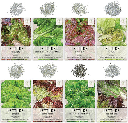 Pack 8 Packets Seed Needs Lettuce Seeds Variety for Planting a Collection of Individual Varieties - Includes Romaine