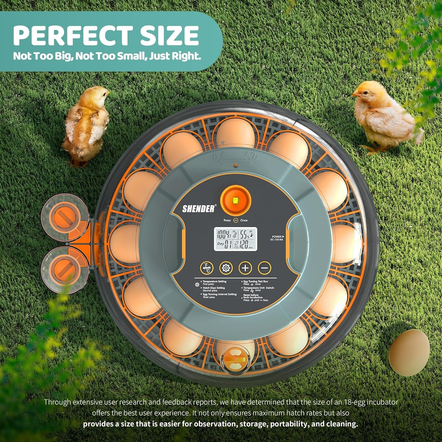 18~36 Egg Incubators for Hatching Eggs, Egg Incubator with Automatic Egg Turning and Humidity Control and Temperature