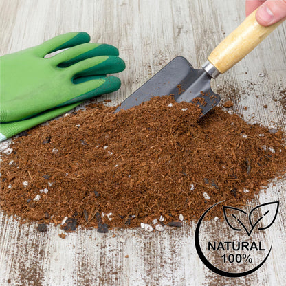 Soil Sunrise Terrarium Potting Soil Mix (4 Quarts) w/Blended Filtering Charcoal Custom Made for Terrariums