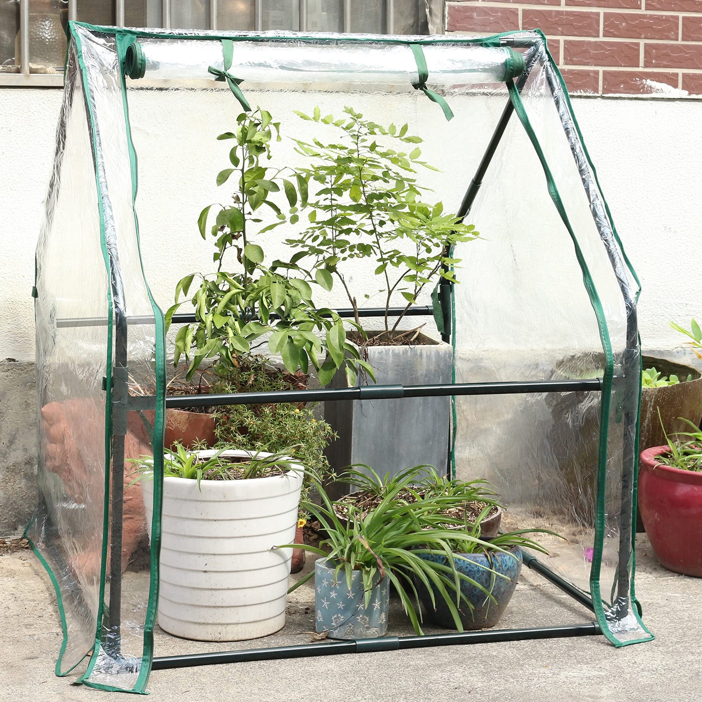 Gardzen Mini Greenhouse Heavy Duty Portable Green House, Clear Tent Small Greenhouse for Indoor Outdoor Plants 36.2”(L) x36.2”(W) x42.5”(H)