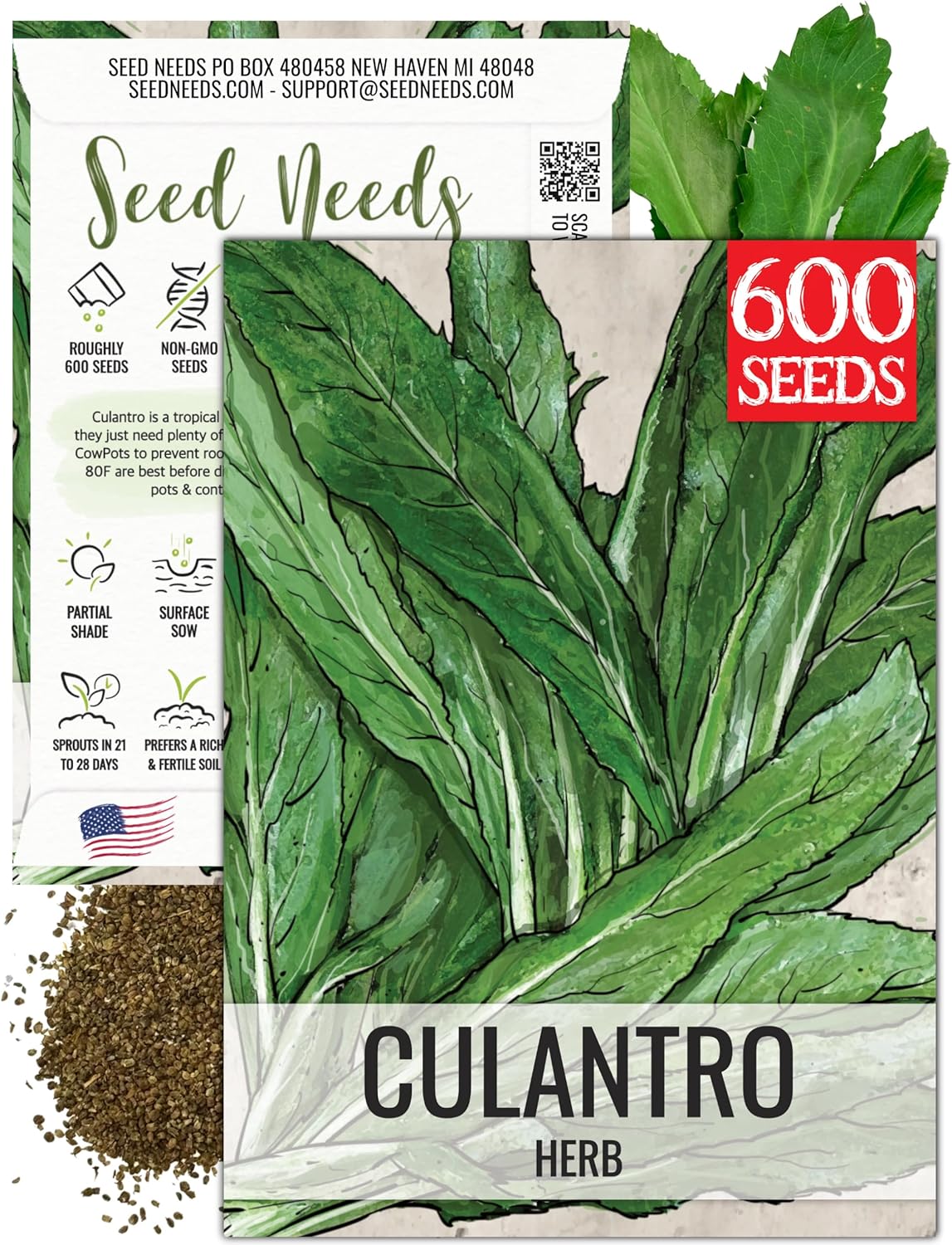 (1 Pack) Seed Needs Culantro Seeds for Planting Mexican Coriander - Non-GMO Heirloom & Untreated Culinary/Medicinal