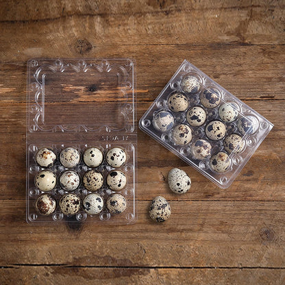 LayHyand 120 Dozen 3x4 12 Count Pcs Quail Egg Cartons, Square Egg Basket, Style Holds Up to Twelve Small Eggs Box, Bulk