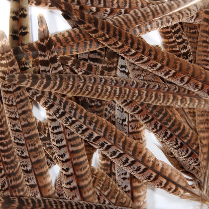 THARAHT 24pcs Female Ringneck Pheasant Tails Feathers Natural Feathers 10-12inch 25-30cm for Crafts Home Wedding Party Performance DIY Decoration Female Pheasant Feathers